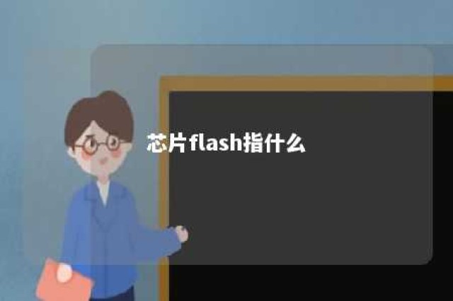 芯片flash指什么 